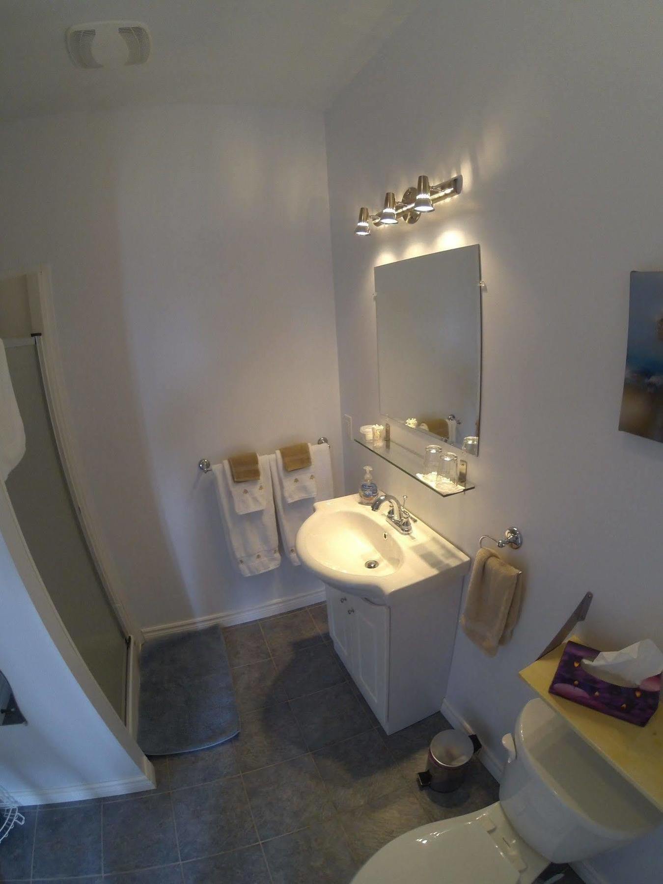 Port Hood The Fiddle And The Sea Bed And Breakfast المظهر الخارجي الصورة